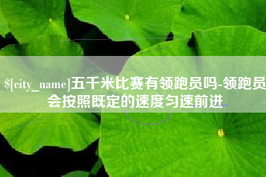 定边五千米比赛有领跑员吗-领跑员会按照既定的速度匀速前进