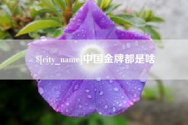 定边中国金牌都是啥