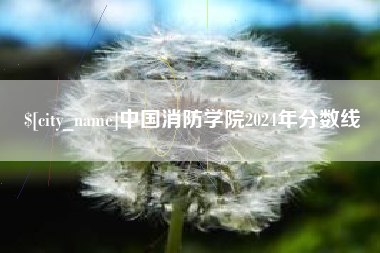 定边中国消防学院2024年分数线