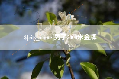 定边男子5000米金牌