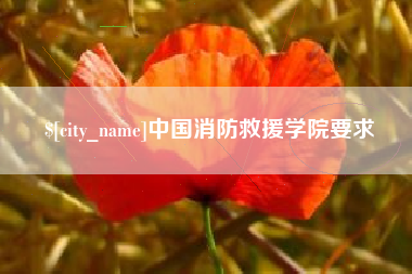 定边中国消防救援学院要求