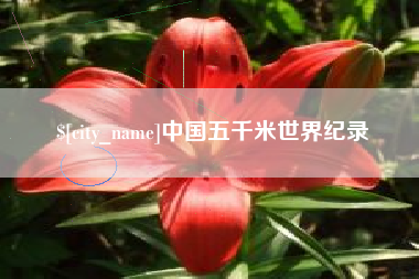 定边中国五千米世界纪录