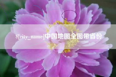 定边中国地图全图带省份