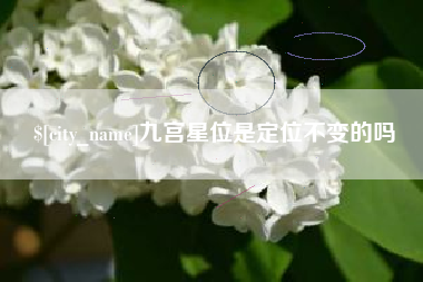 定边九宫星位是定位不变的吗