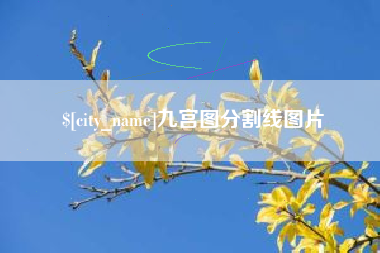 定边九宫图分割线图片