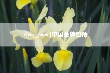定边中国金牌包括
