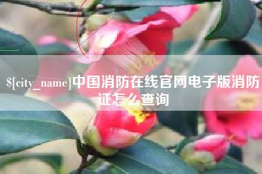 定边中国消防在线官网电子版消防证怎么查询