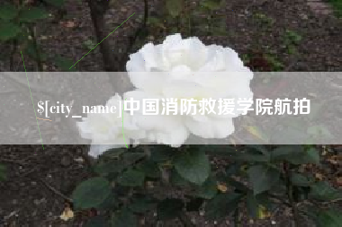 定边中国消防救援学院航拍