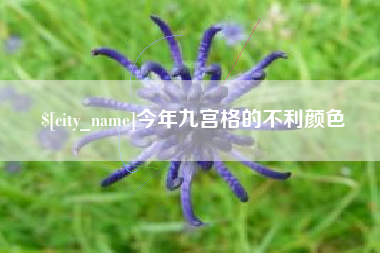 定边今年九宫格的不利颜色