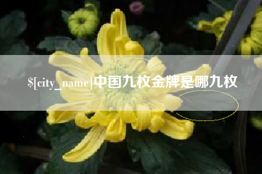 定边中国九枚金牌是哪九枚