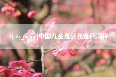 定边中国九金是哪九金的简称