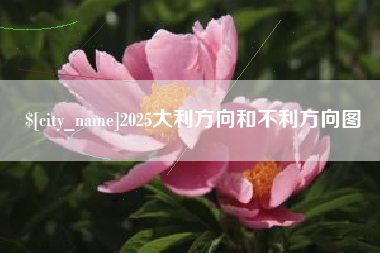 定边2025大利方向和不利方向图