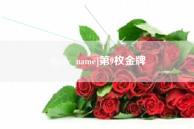 定边第9枚金牌