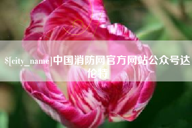 定边中国消防网官方网站公众号达伦特