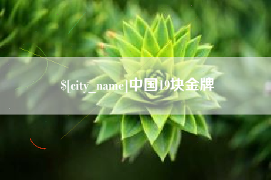 定边中国19块金牌