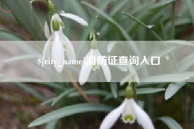 定边消防证查询入口