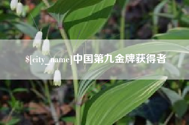 定边中国第九金牌获得者
