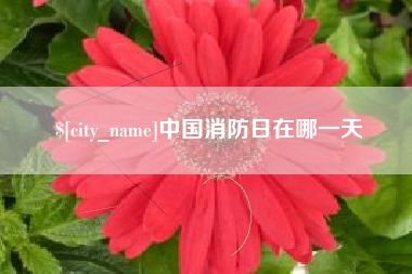 定边中国消防日在哪一天