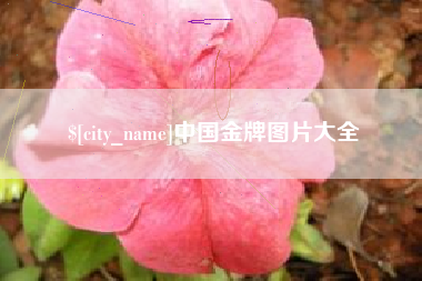 定边中国金牌图片大全