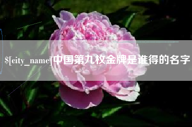 定边中国第九枚金牌是谁得的名字