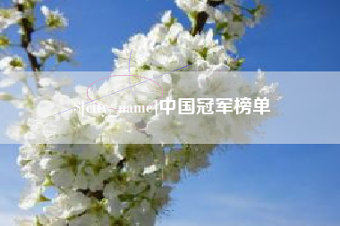 定边中国冠军榜单