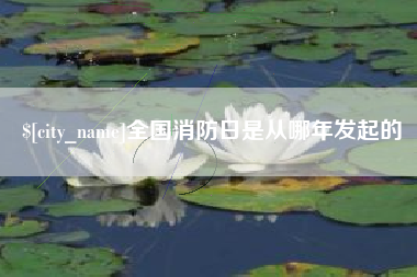 定边全国消防日是从哪年发起的