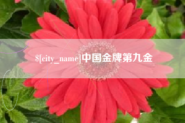 定边中国金牌第九金