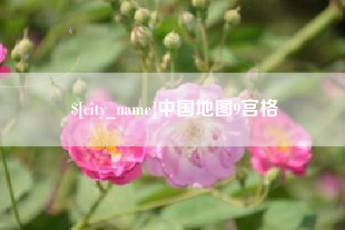 定边中国地图9宫格