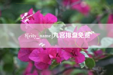 定边九宫排盘免费