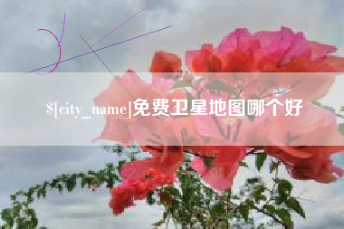定边免费卫星地图哪个好