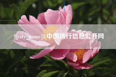 定边1.中国执行信息公开网