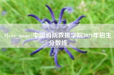 定边中国消防救援学院2024年招生分数线