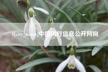 定边中国执行信息公开网询