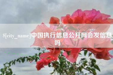 定边中国执行信息公开网会发信息吗