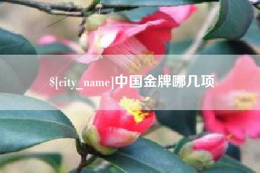 定边中国金牌哪几项
