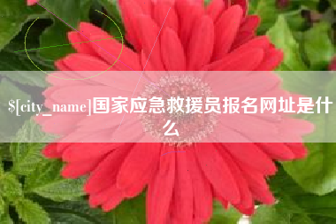 定边国家应急救援员报名网址是什么