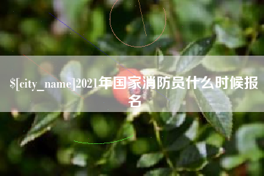 定边2021年国家消防员什么时候报名