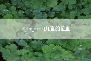 定边九宫的位置