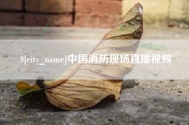 定边中国消防现场直播视频