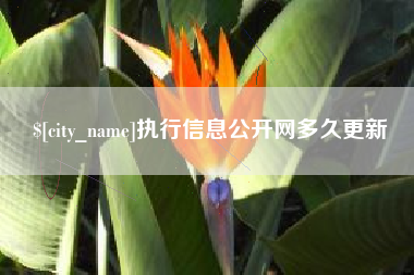 定边执行信息公开网多久更新