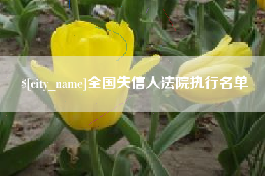 定边全国失信人法院执行名单