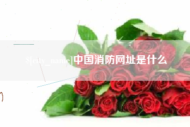 定边中国消防网址是什么