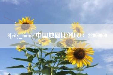 定边中国地图比例尺1：22000000