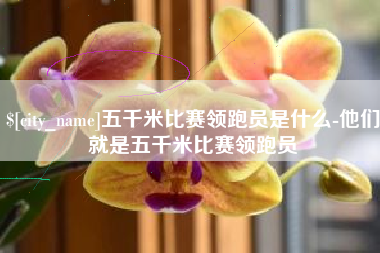 定边五千米比赛领跑员是什么-他们就是五千米比赛领跑员