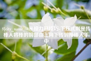 定边60米接力赛技巧-下压式则是传棒人将棒的前部由上向下传到接棒人手中