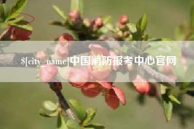 定边中国消防报考中心官网