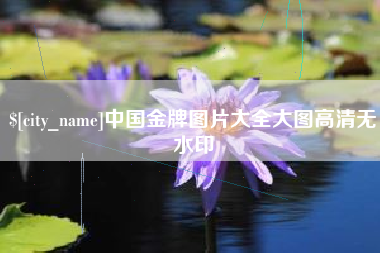 定边中国金牌图片大全大图高清无水印
