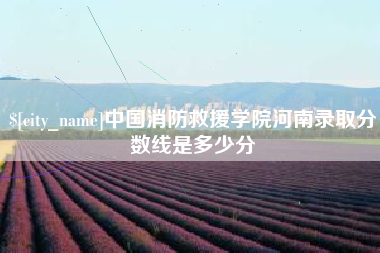 定边中国消防救援学院河南录取分数线是多少分