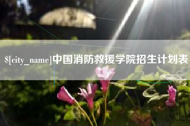 定边中国消防救援学院招生计划表