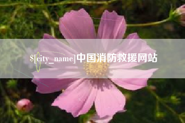 定边中国消防救援网站